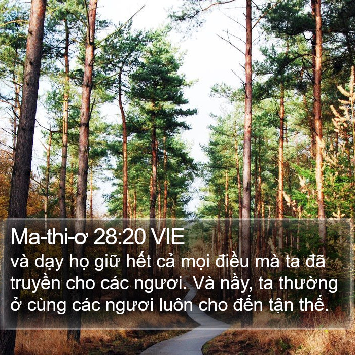 Ma-thi-ơ 28:20 VIE Bible Study