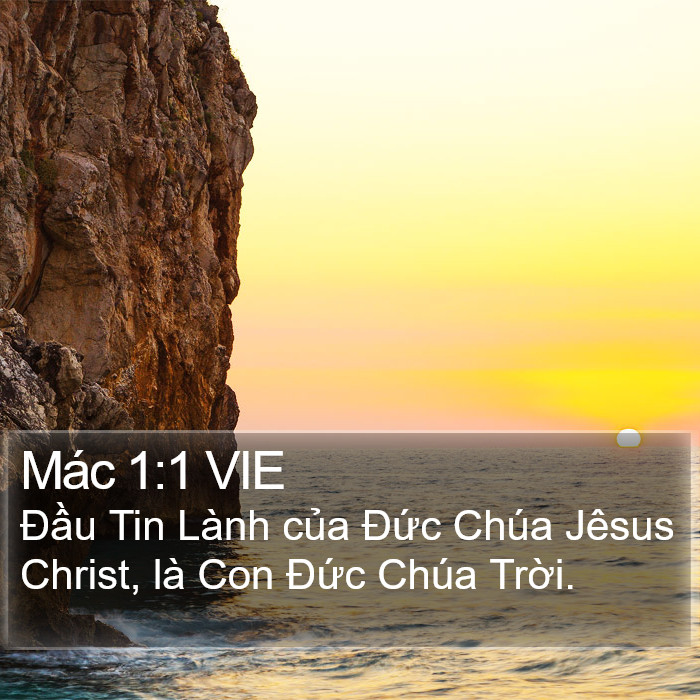 Mác 1:1 VIE Bible Study