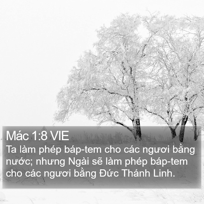 Mác 1:8 VIE Bible Study