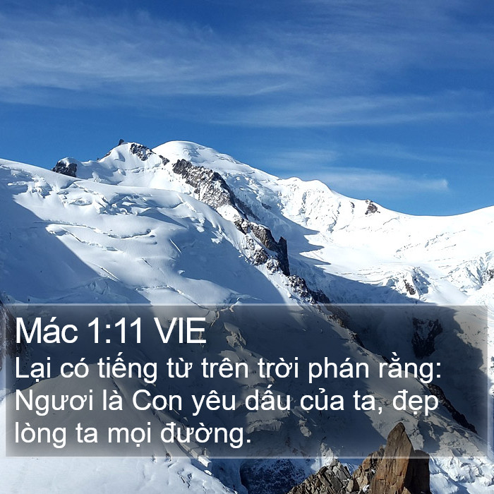 Mác 1:11 VIE Bible Study