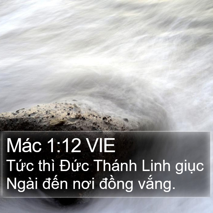 Mác 1:12 VIE Bible Study