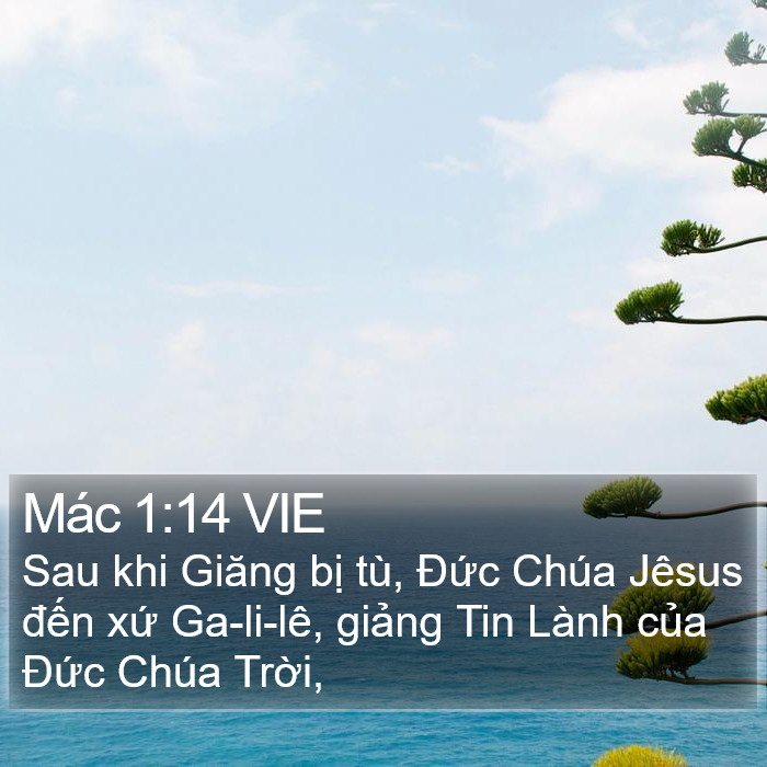 Mác 1:14 VIE Bible Study