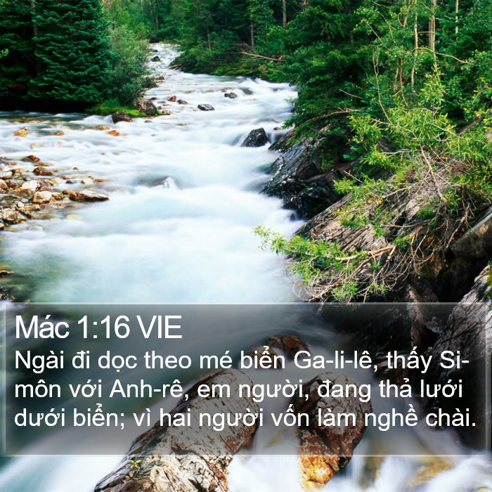 Mác 1:16 VIE Bible Study