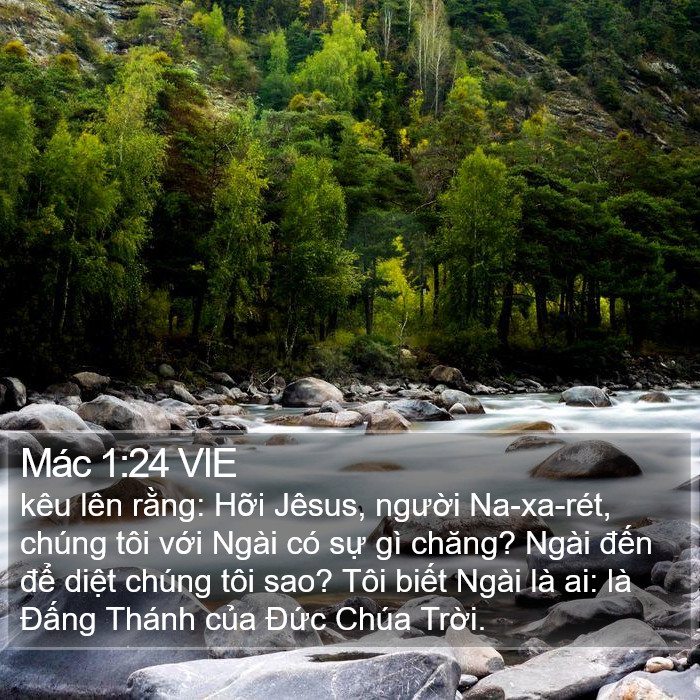 Mác 1:24 VIE Bible Study