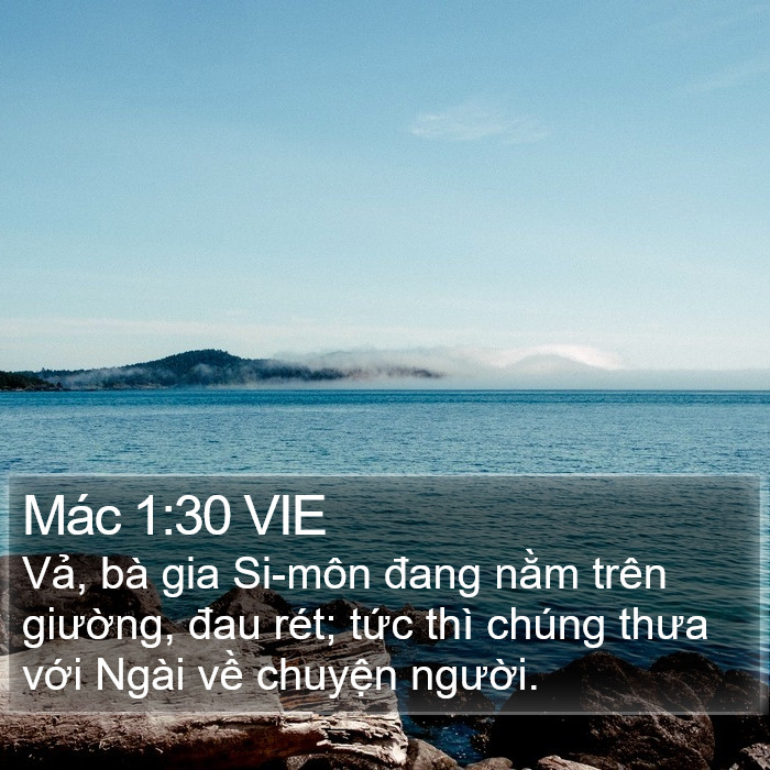 Mác 1:30 VIE Bible Study