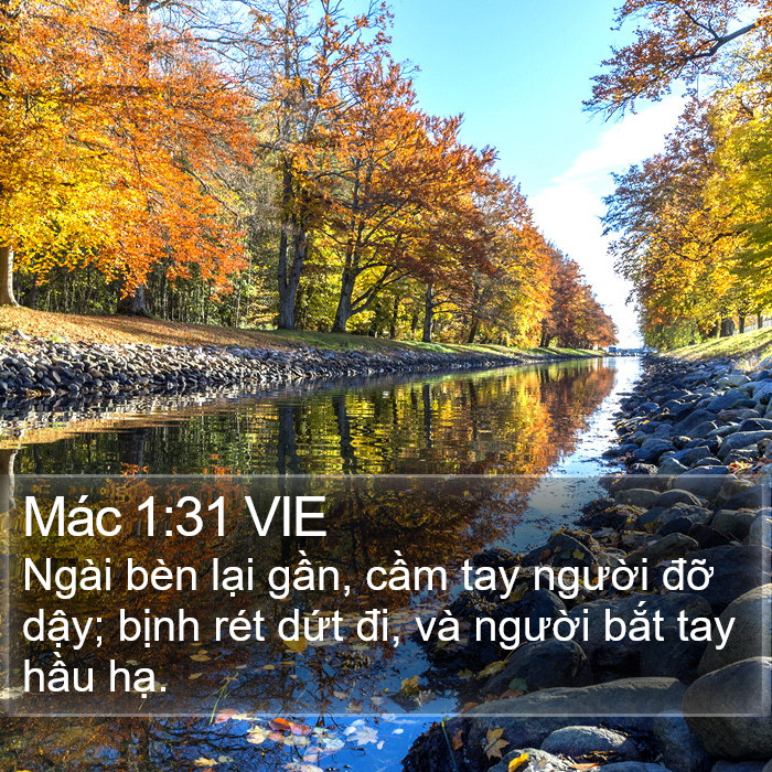 Mác 1:31 VIE Bible Study