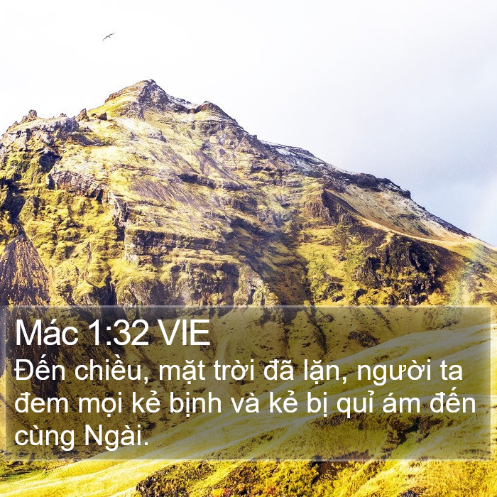 Mác 1:32 VIE Bible Study