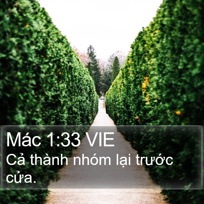 Mác 1:33 VIE Bible Study