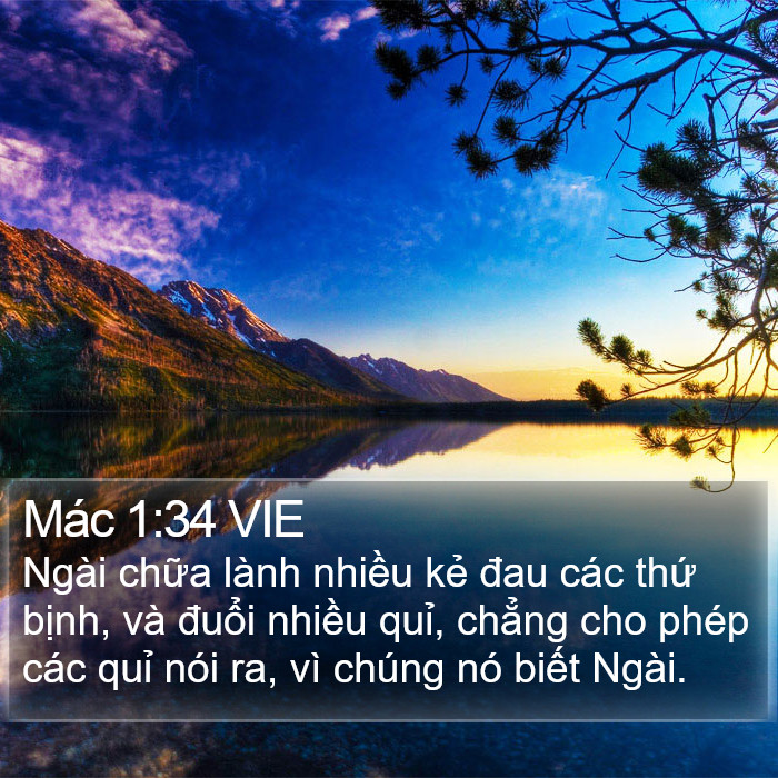 Mác 1:34 VIE Bible Study