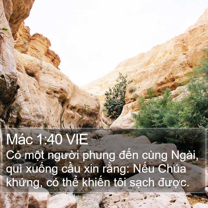 Mác 1:40 VIE Bible Study