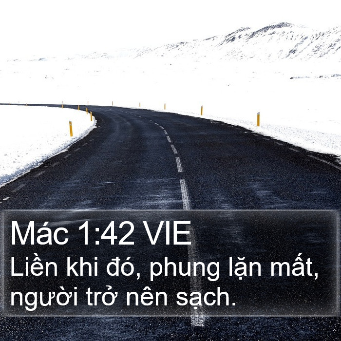 Mác 1:42 VIE Bible Study