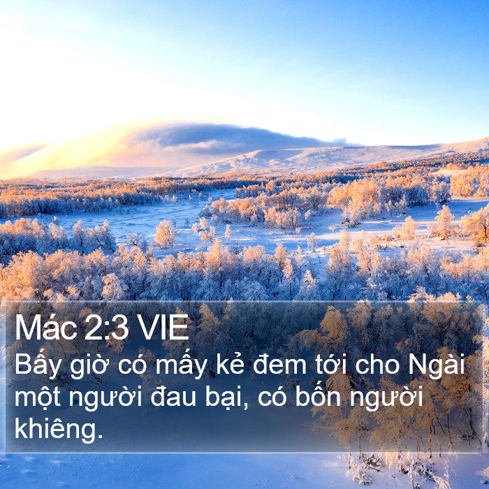 Mác 2:3 VIE Bible Study