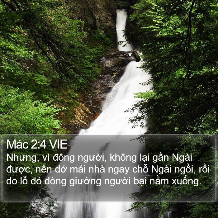 Mác 2:4 VIE Bible Study