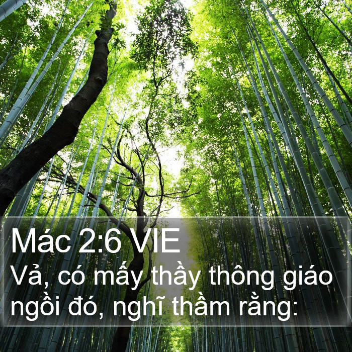 Mác 2:6 VIE Bible Study