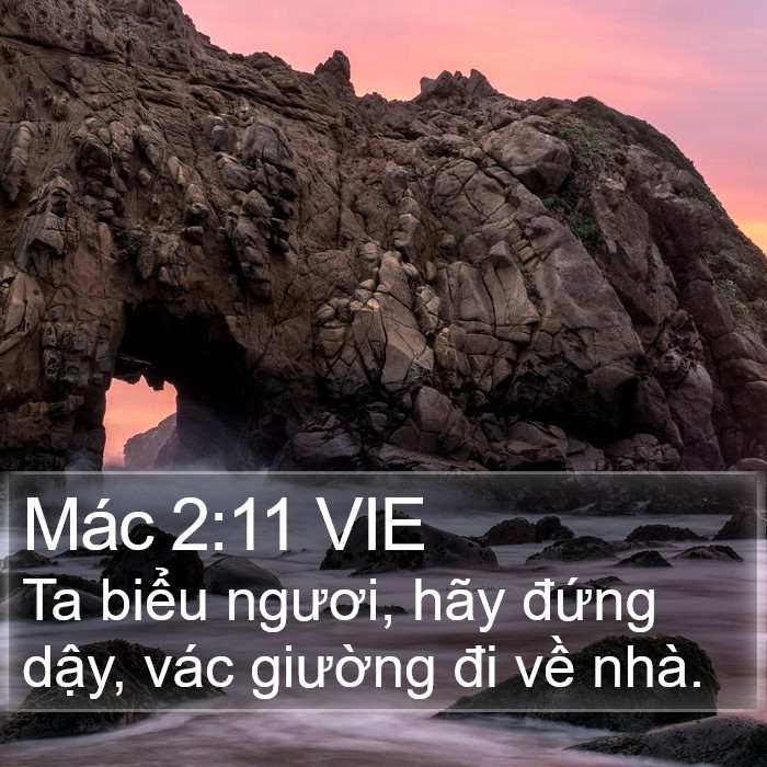 Mác 2:11 VIE Bible Study