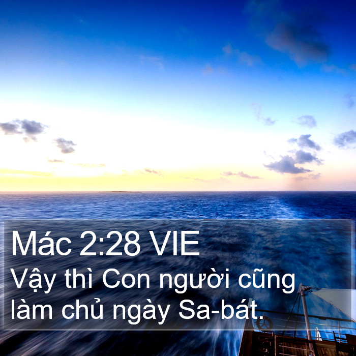 Mác 2:28 VIE Bible Study