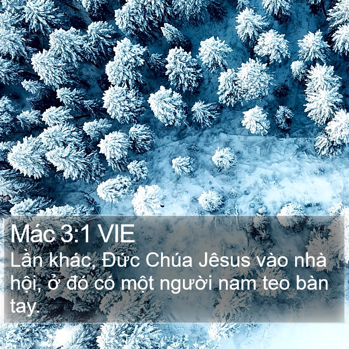 Mác 3:1 VIE Bible Study