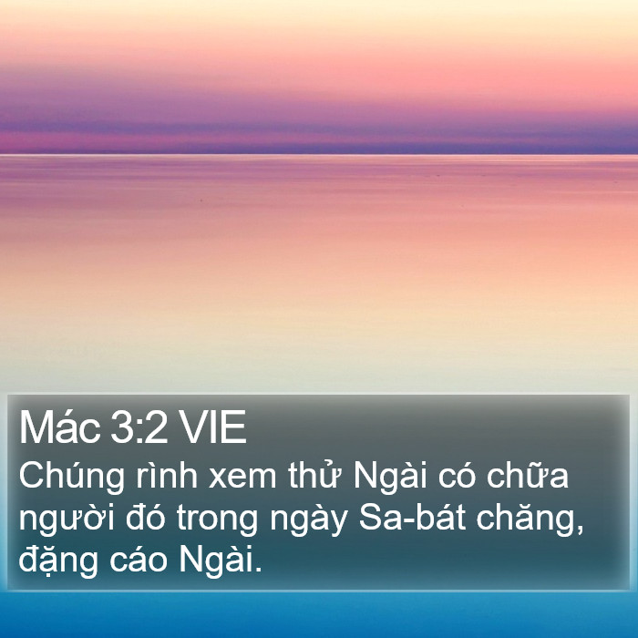 Mác 3:2 VIE Bible Study