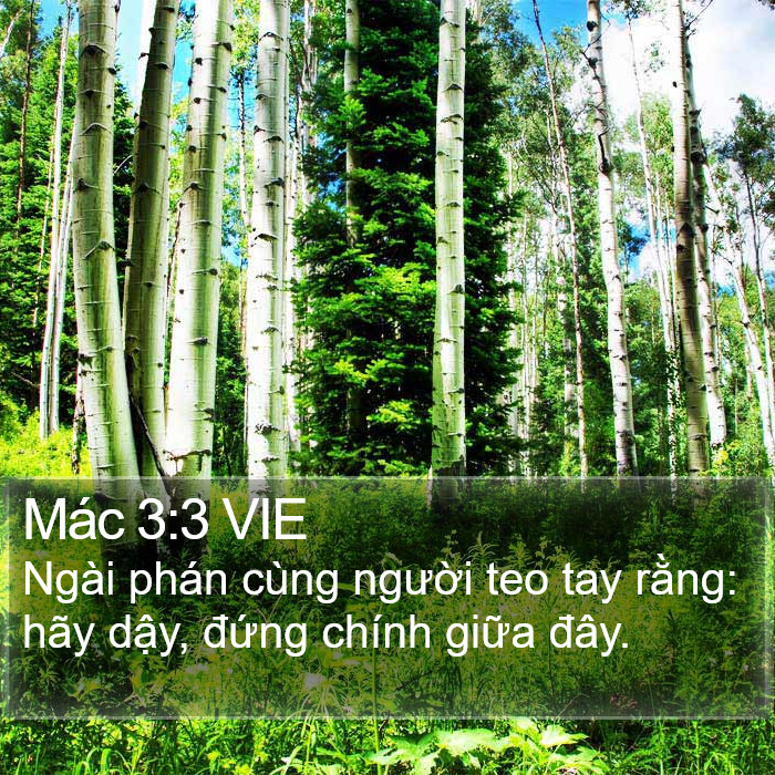 Mác 3:3 VIE Bible Study