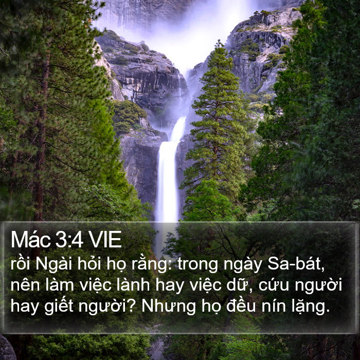 Mác 3:4 VIE Bible Study