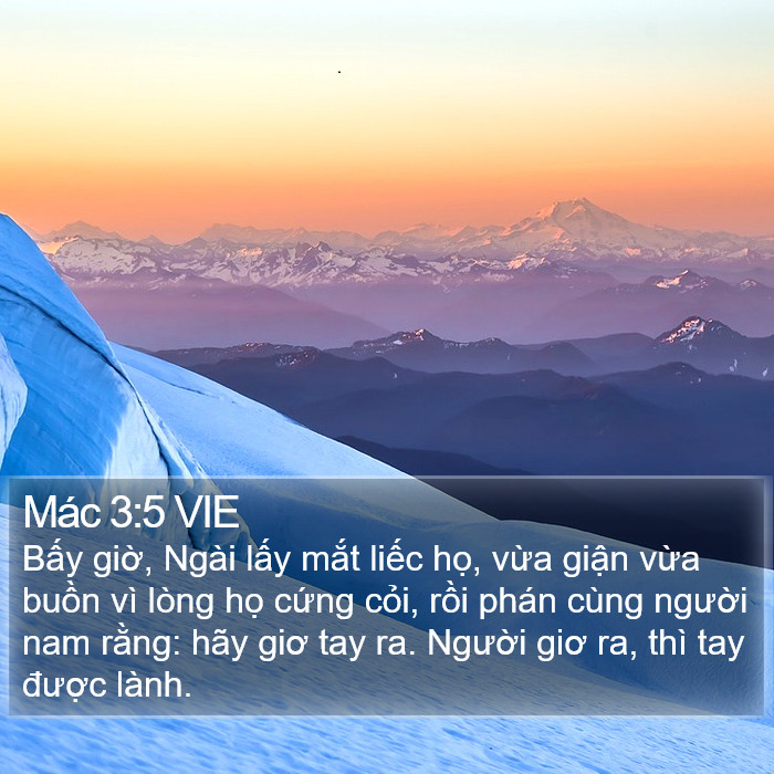Mác 3:5 VIE Bible Study