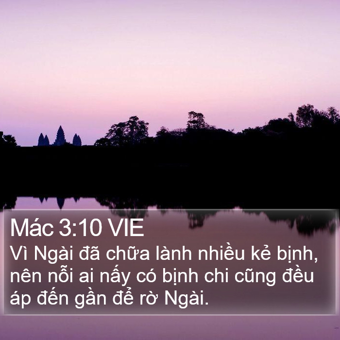Mác 3:10 VIE Bible Study