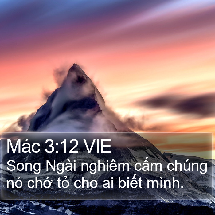 Mác 3:12 VIE Bible Study