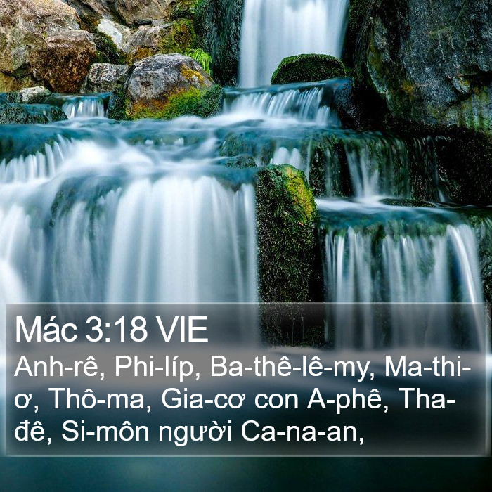 Mác 3:18 VIE Bible Study