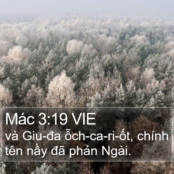 Mác 3:19 VIE Bible Study