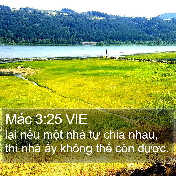 Mác 3:25 VIE Bible Study