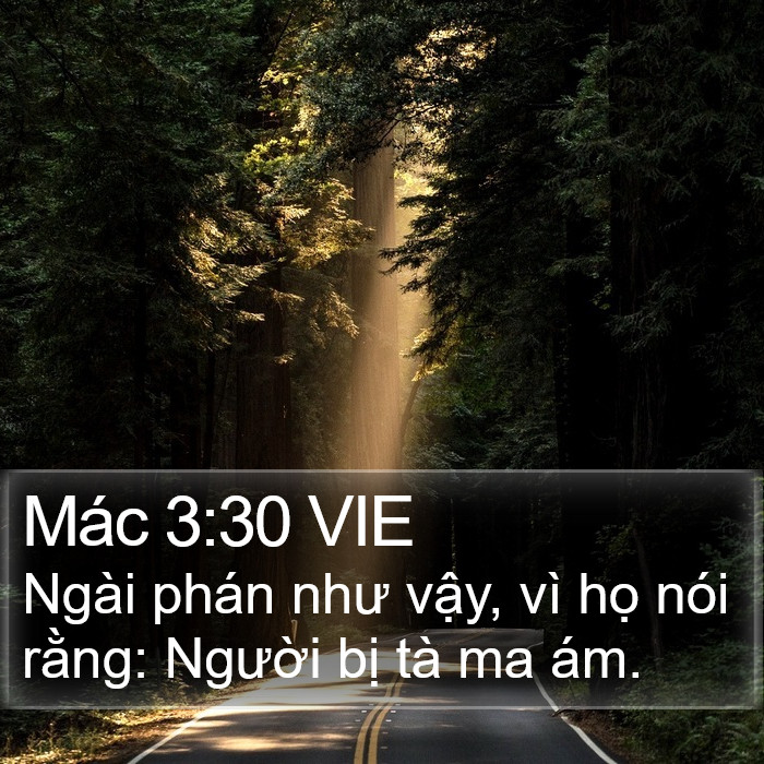 Mác 3:30 VIE Bible Study