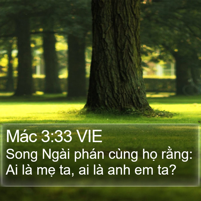 Mác 3:33 VIE Bible Study