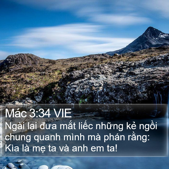 Mác 3:34 VIE Bible Study