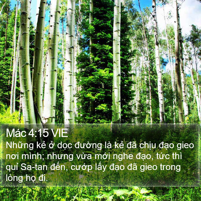 Mác 4:15 VIE Bible Study