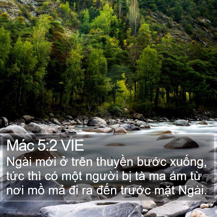 Mác 5:2 VIE Bible Study