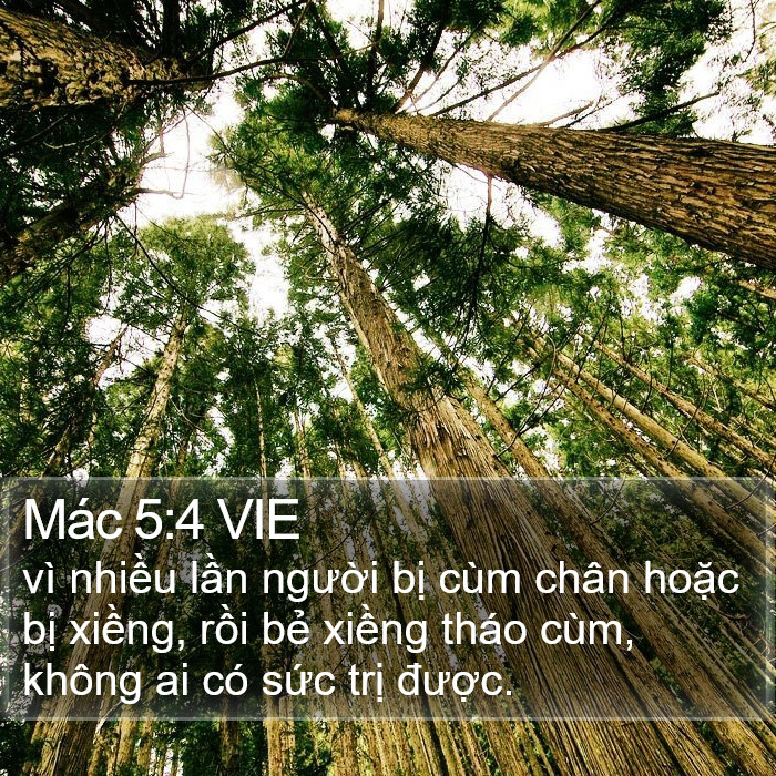 Mác 5:4 VIE Bible Study