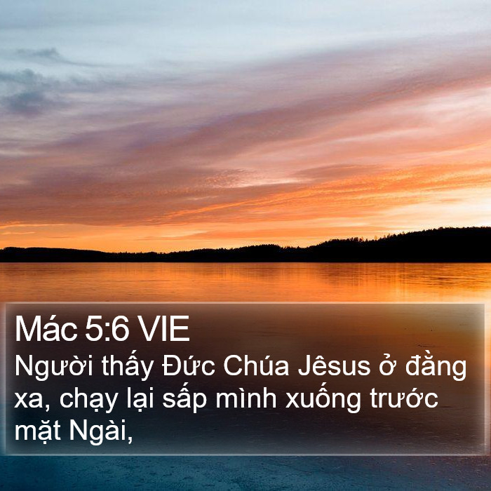 Mác 5:6 VIE Bible Study