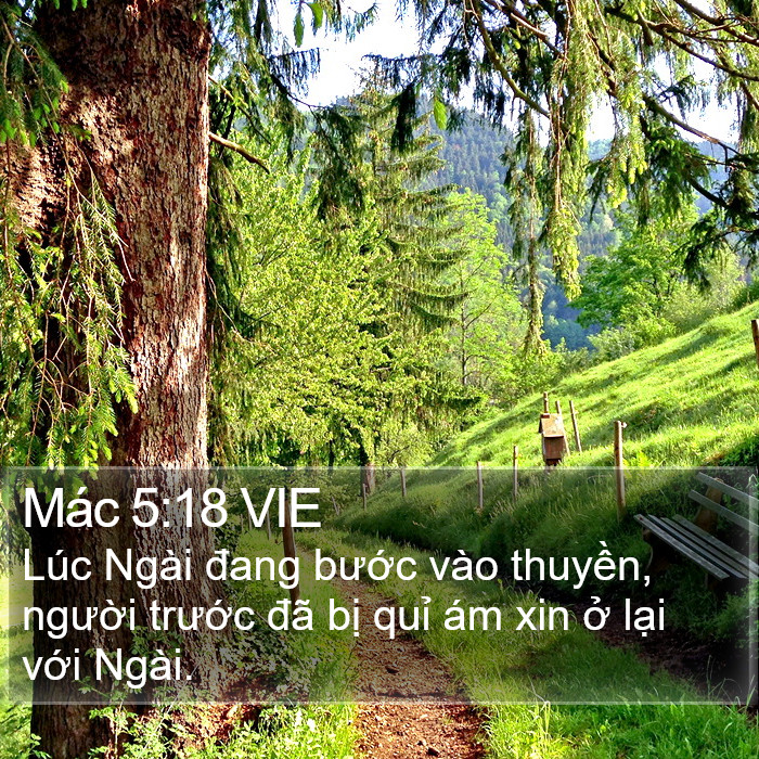 Mác 5:18 VIE Bible Study