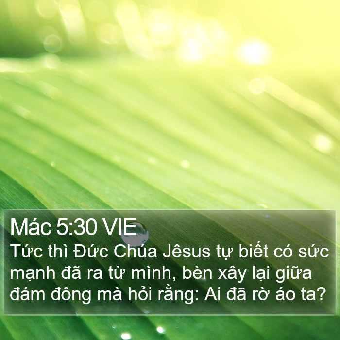 Mác 5:30 VIE Bible Study