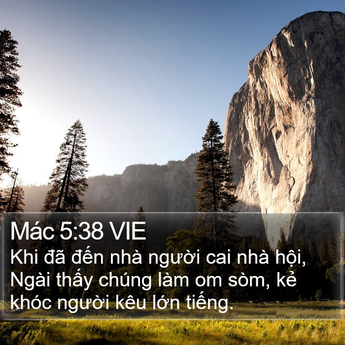 Mác 5:38 VIE Bible Study