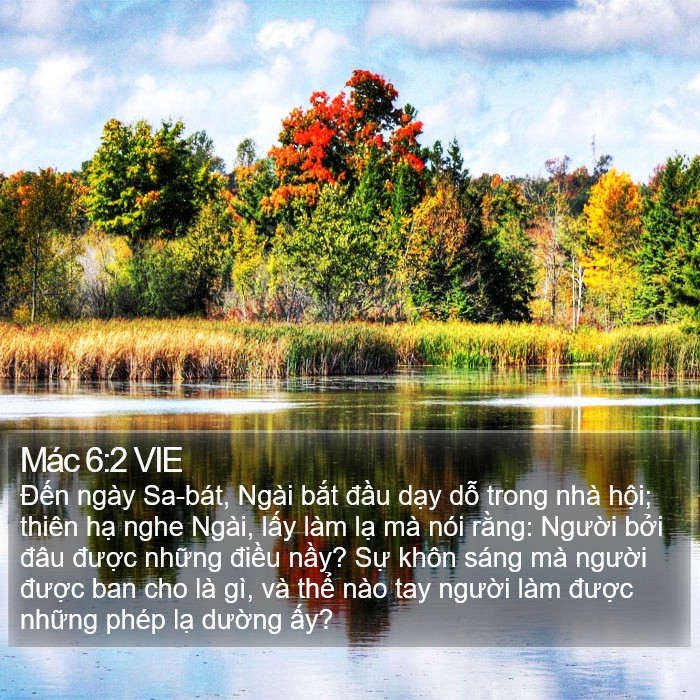 Mác 6:2 VIE Bible Study