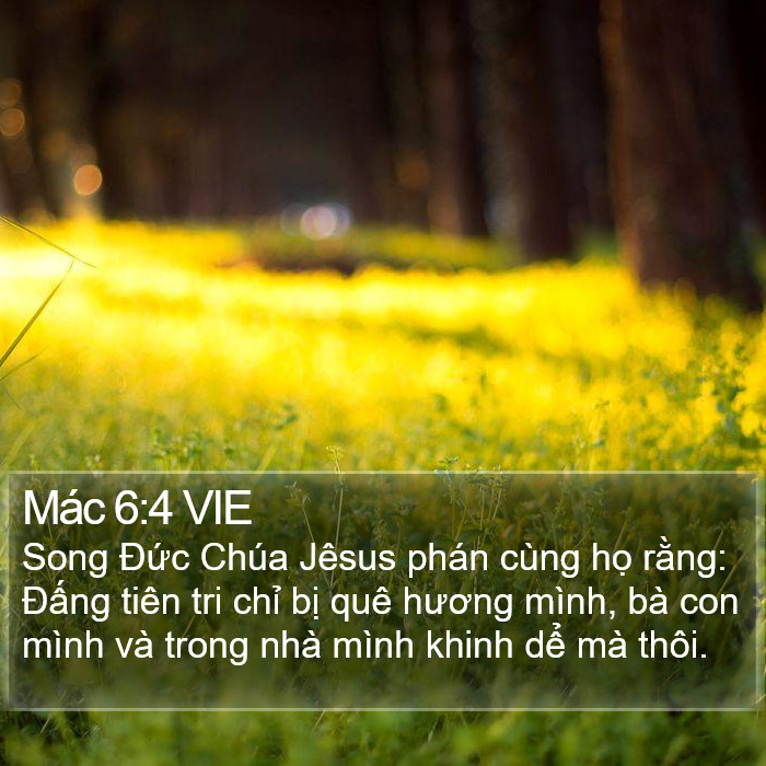 Mác 6:4 VIE Bible Study