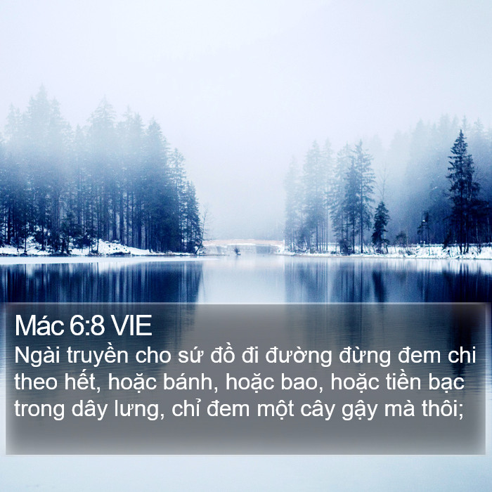 Mác 6:8 VIE Bible Study