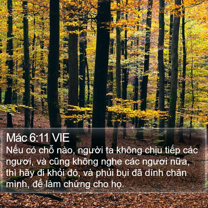 Mác 6:11 VIE Bible Study