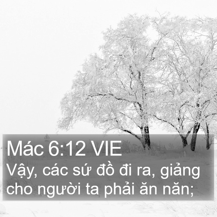 Mác 6:12 VIE Bible Study