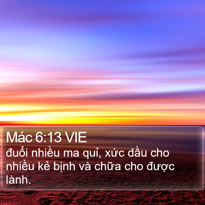 Mác 6:13 VIE Bible Study