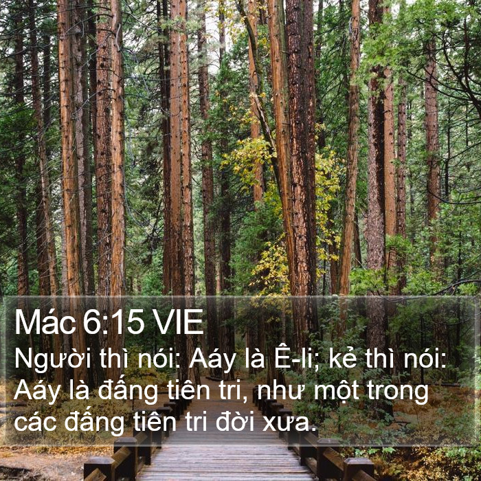 Mác 6:15 VIE Bible Study