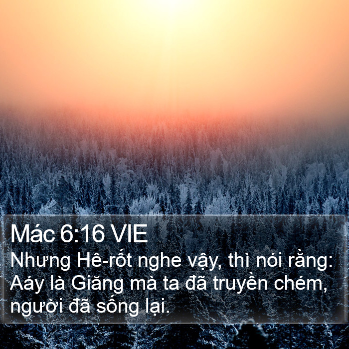 Mác 6:16 VIE Bible Study