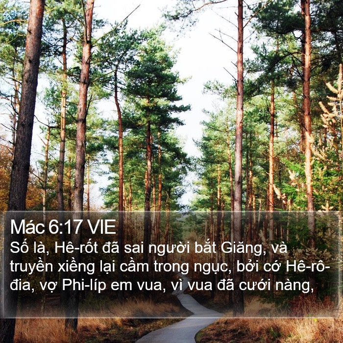 Mác 6:17 VIE Bible Study