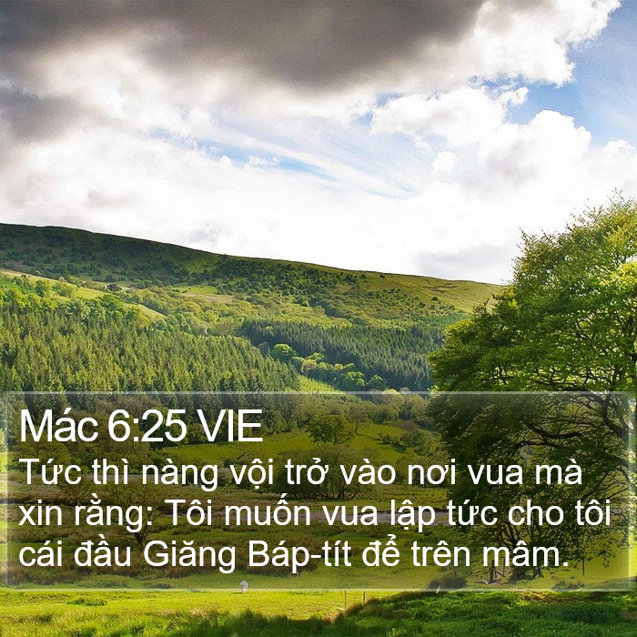 Mác 6:25 VIE Bible Study